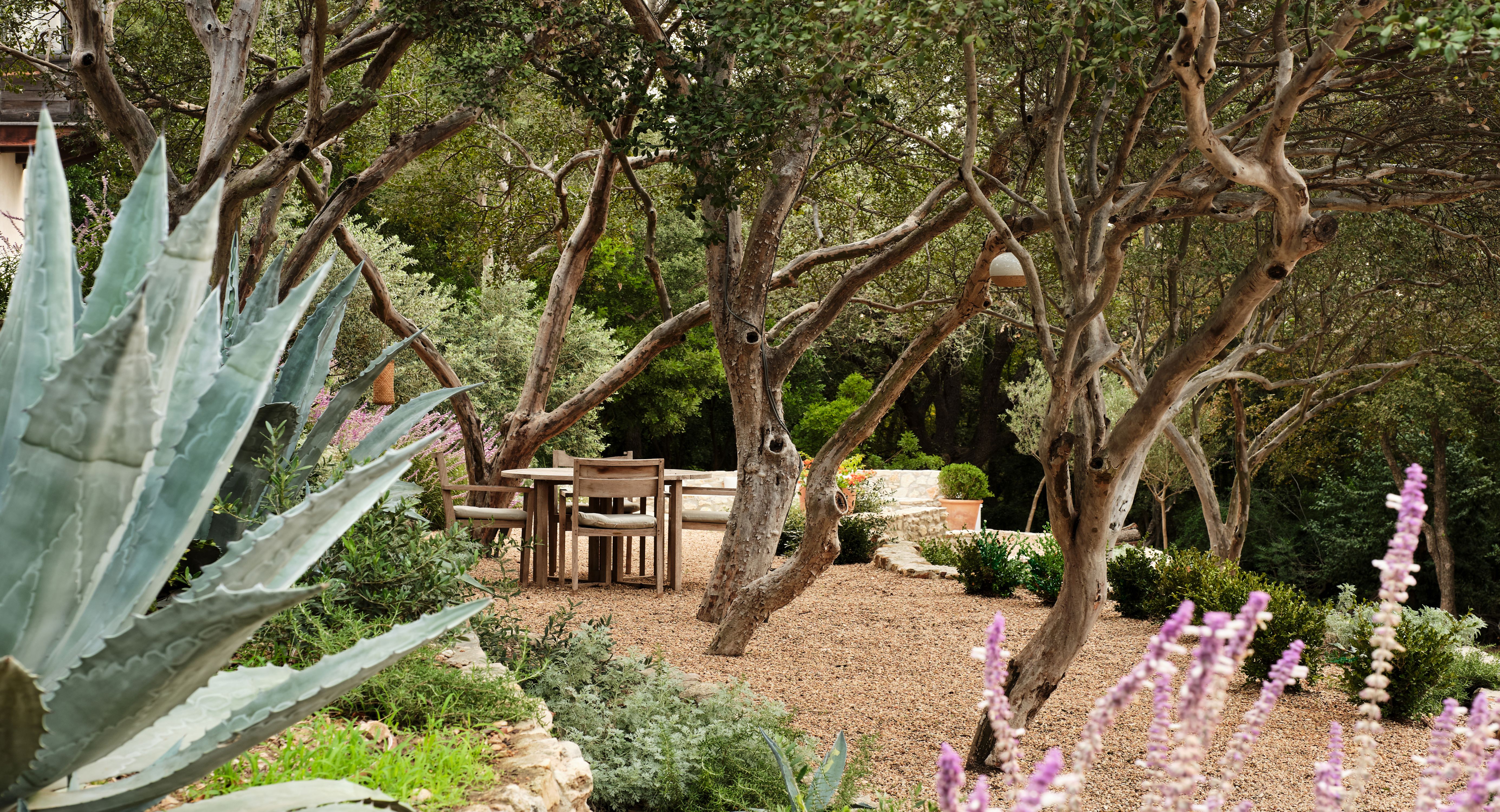 CAMPBELL LANDSCAPE ARCHITECTURE